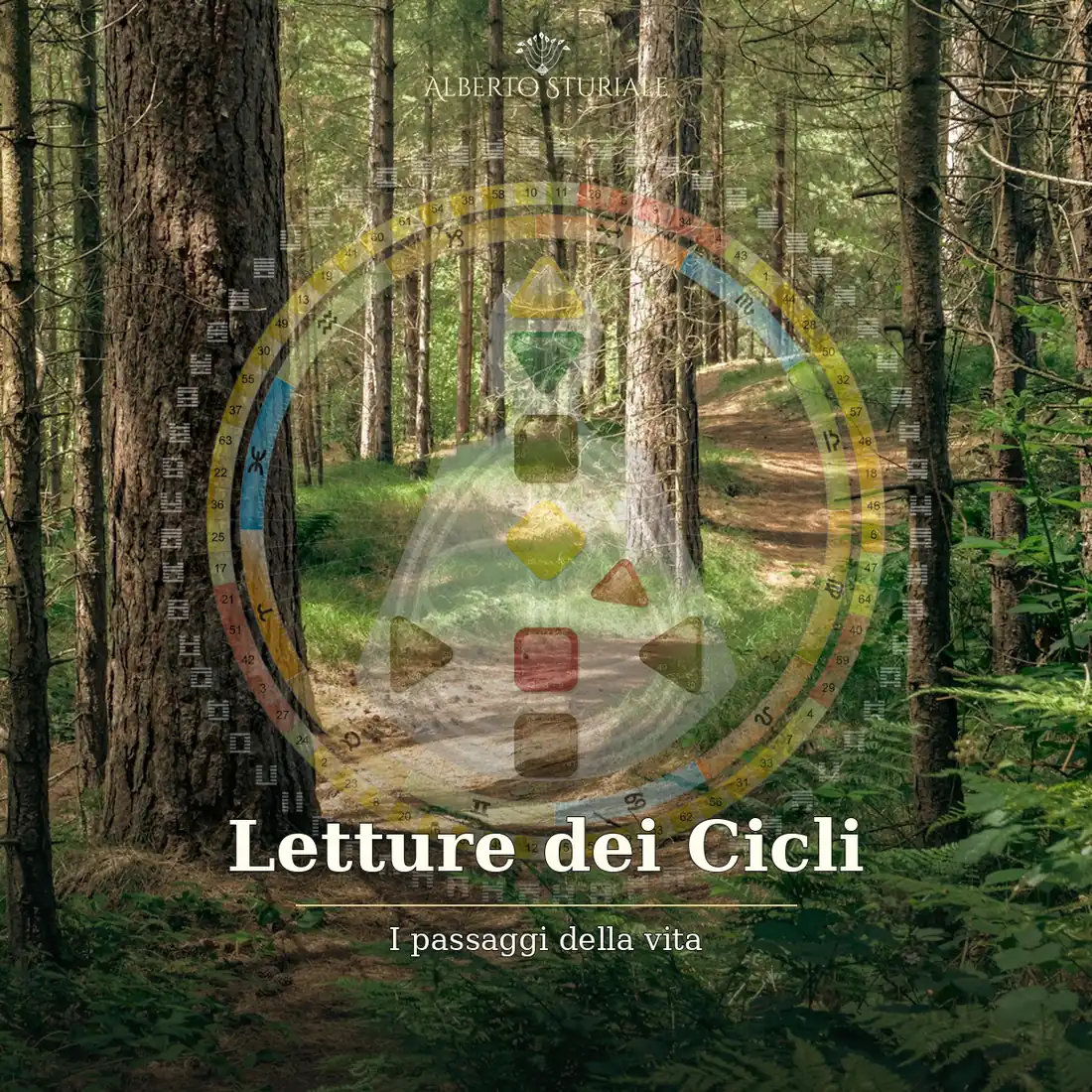Sentiero sinuoso in un bosco di pini, copertina delle Letture dei Cicli Human Design