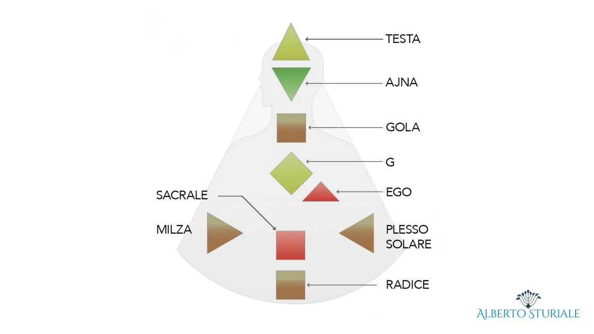 I nove Centri di Human Design nel Corpo Grafico, con i nomi e la posizione di ciascun Centro.